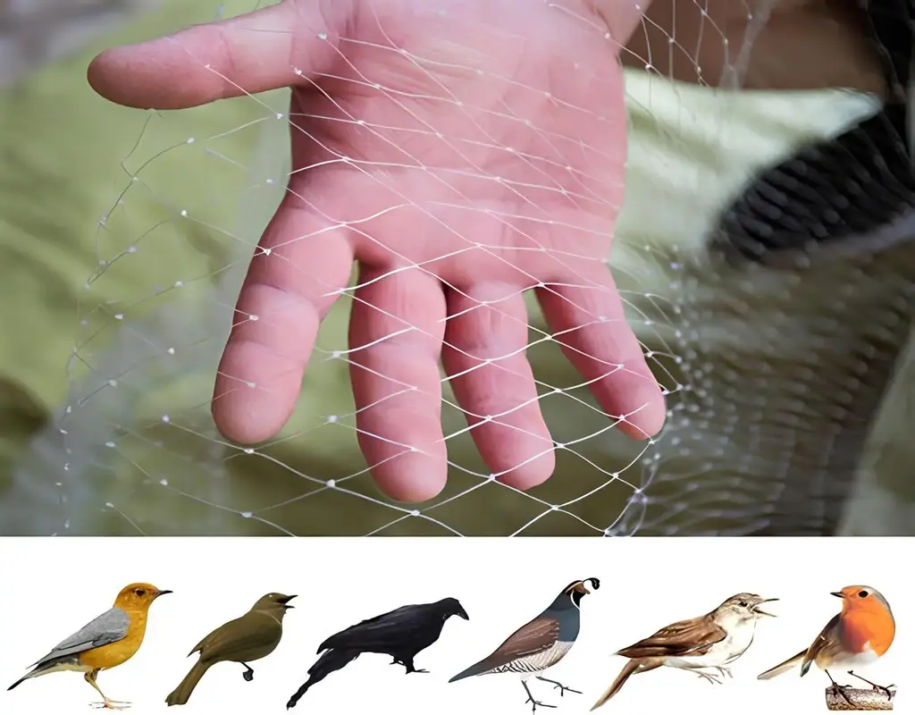 bird net for balcony in bangalore madhu safety nets 5