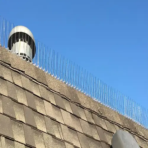 bird spikes for pigeons in bangalore madhu safety nets 2