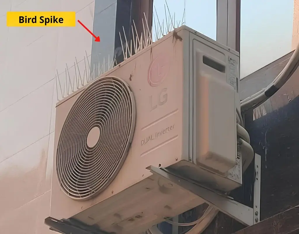bird spikes for pigeons in bangalore madhu safety nets 4