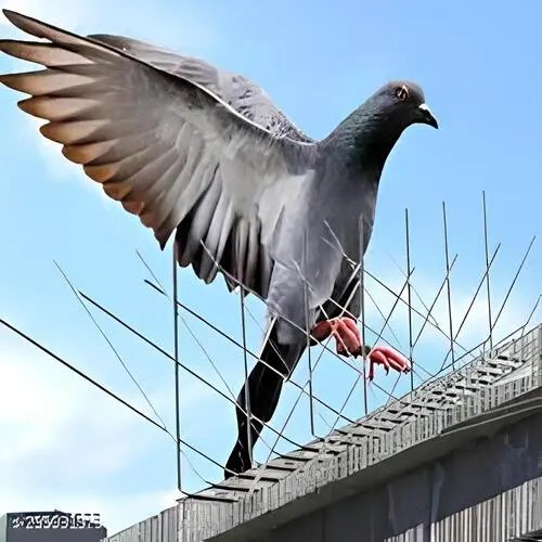 bird spikes for pigeons in bangalore madhu safety nets 6